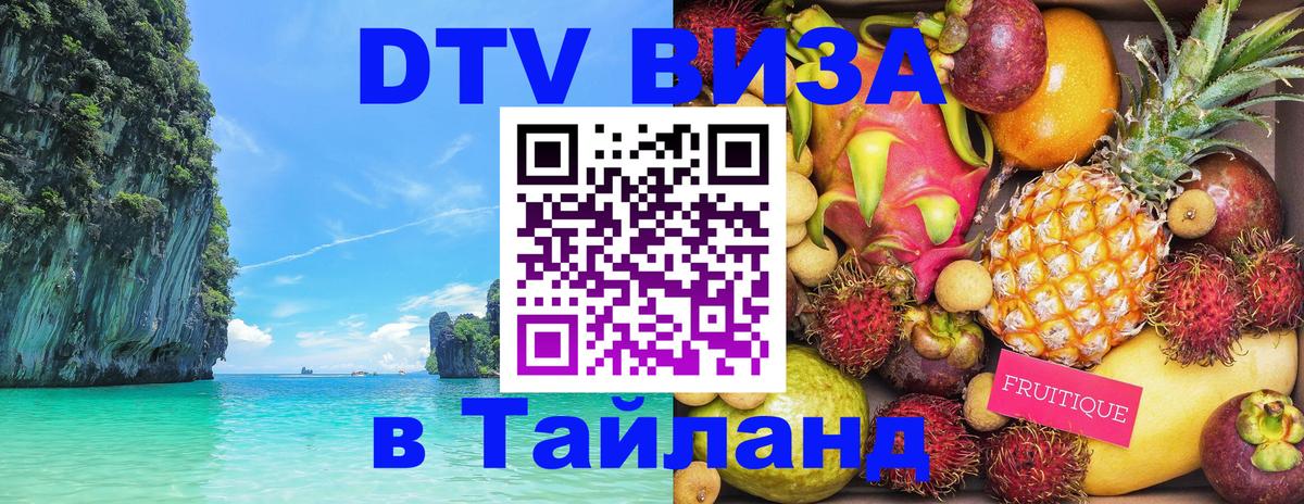 Оформление DTV визы под ключ: стоимость и тарифы, только загранпаспорт - Сыктывкар 